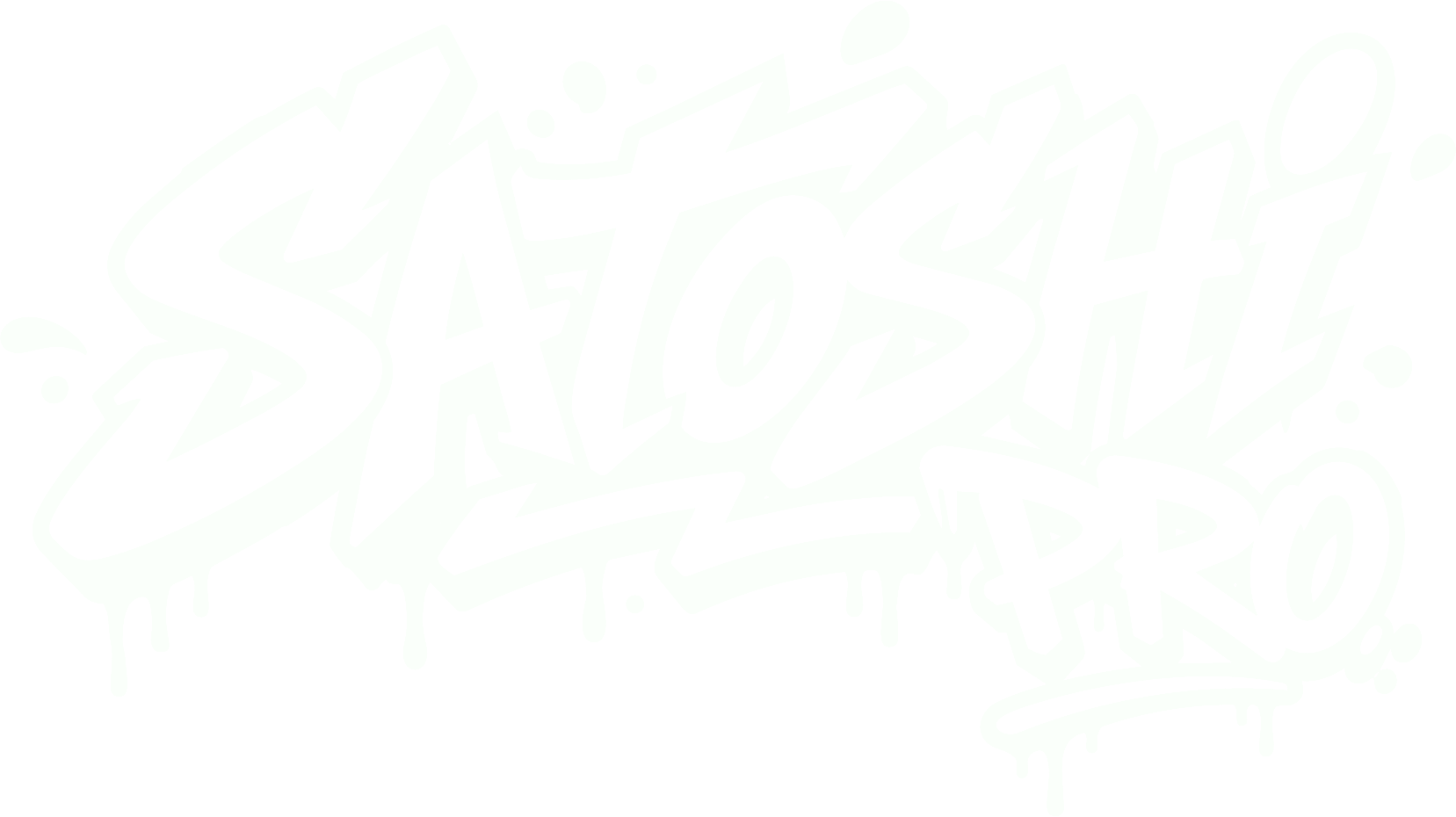 SATOSHI PRO